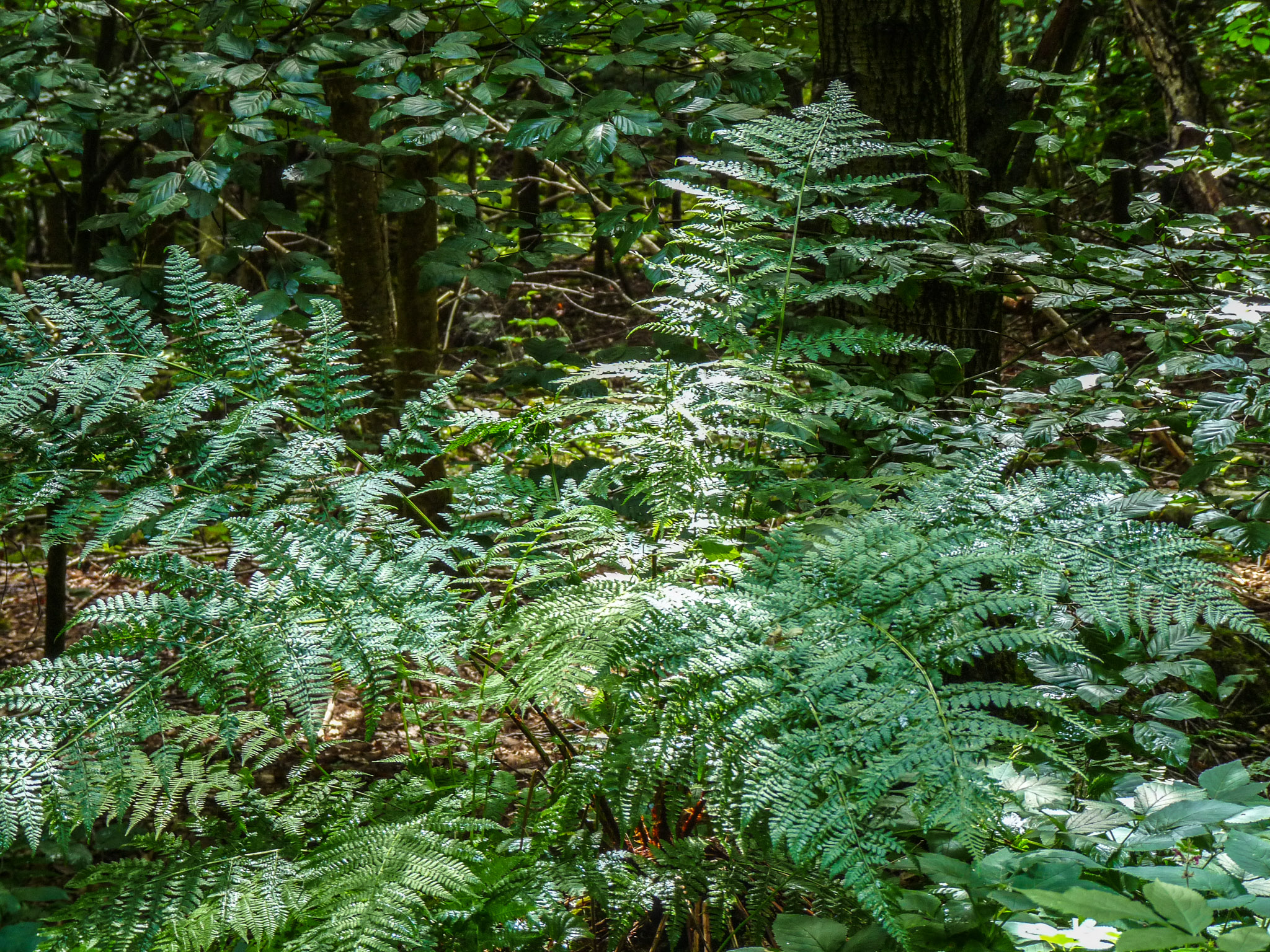 20210725105929 1130847